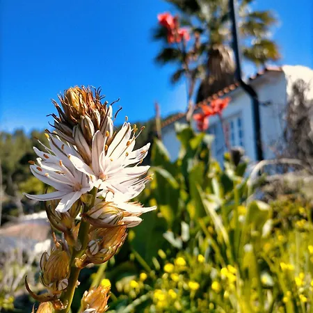 Дом отдыха Casita De Estrellas